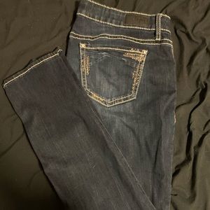 Daytrip Skinny Jeans